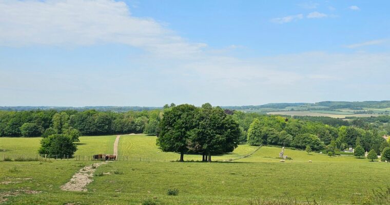 'Stunning' Kent views enhanced by UK Power Networks' investment