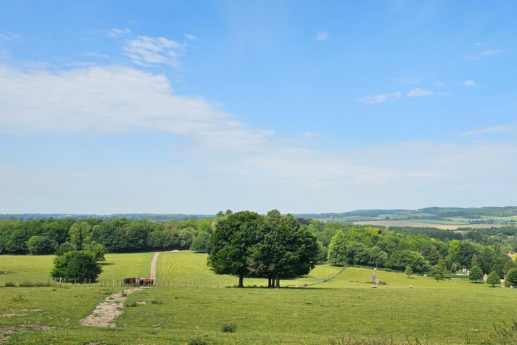 'Stunning' Kent views enhanced by UK Power Networks' investment