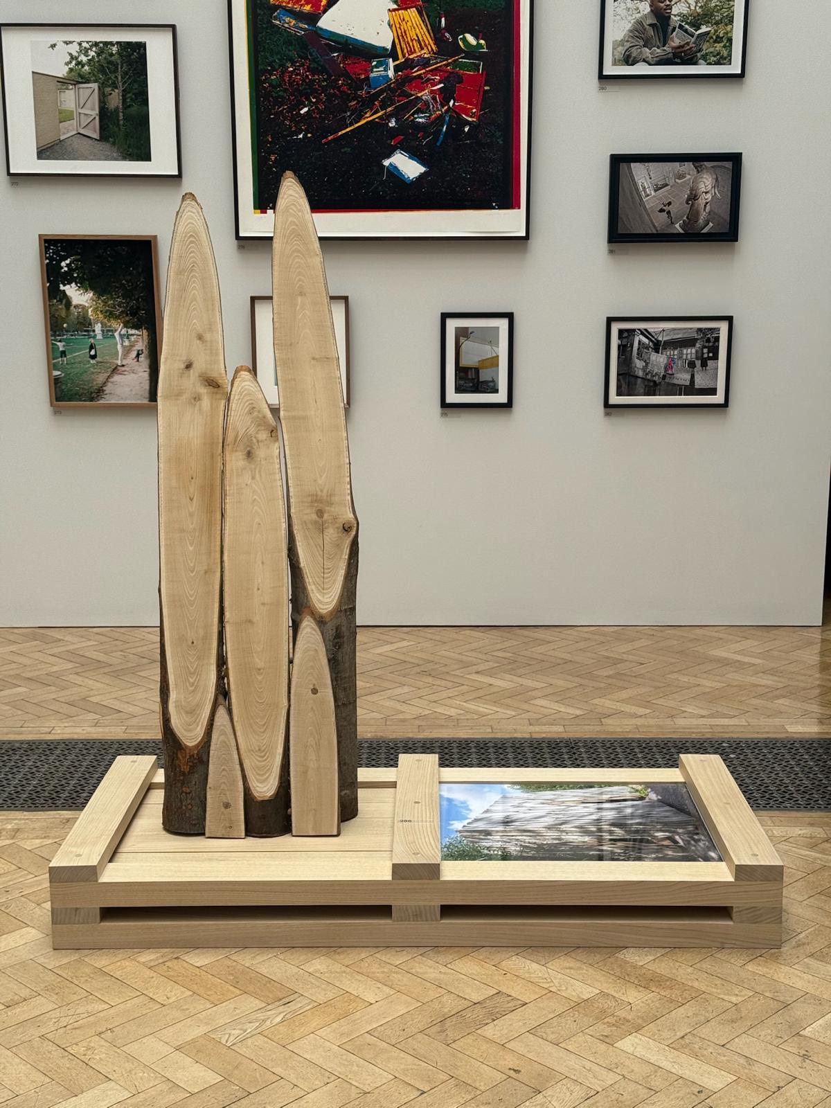 Vertical timber sections of varying height—cut from a managed coppice—stand arranged like sentinels atop a low plinth, forming the sculptural work "Coppice Oratory." A horizontal photo or panel beside them invites reflection, while framed artworks on the surrounding walls frame the installation within a quiet, contemplative gallery space.
