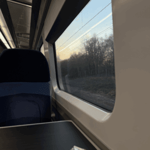 A quiet train window scene with blurred trees outside and a soft glow in the sky, capturing a peaceful moment in transit.