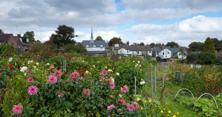 A cottage garden bursting with colourful flowers sits beneath a cloudy sky, with a church steeple and village houses in the background.