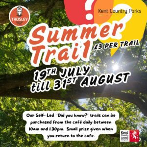 Summer trail event poster