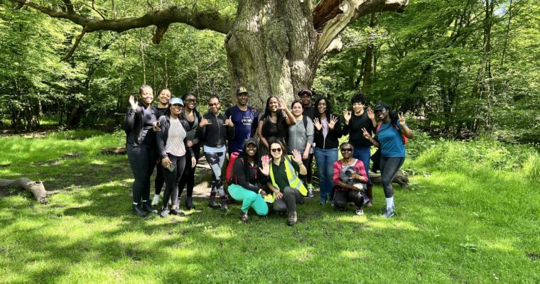 moja.collective pose under a tree in a sun dappled meadow
