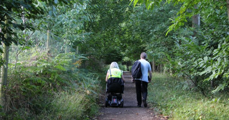 Wild With Wheels on a roll & stroll through the woods