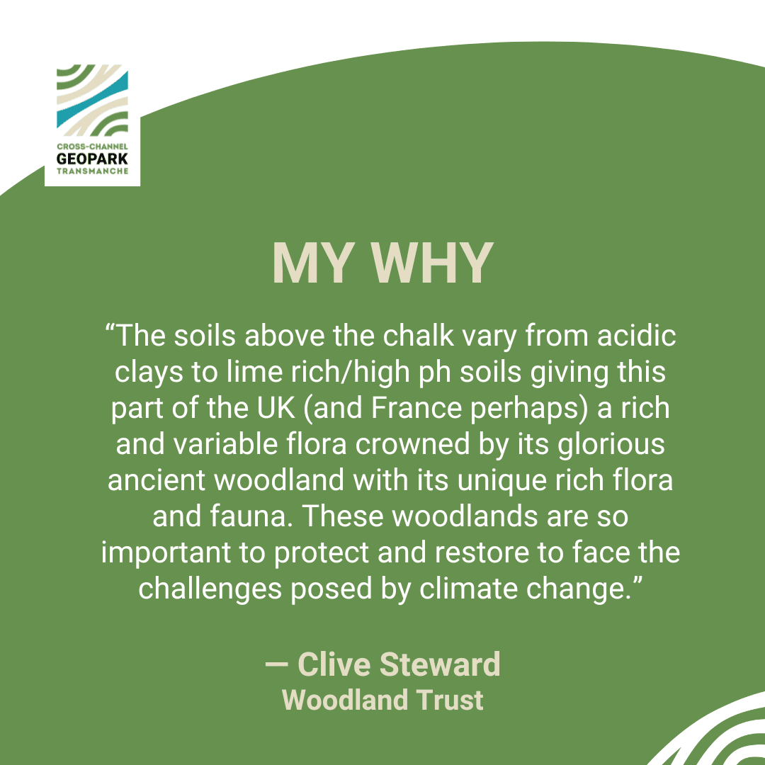 My Why text