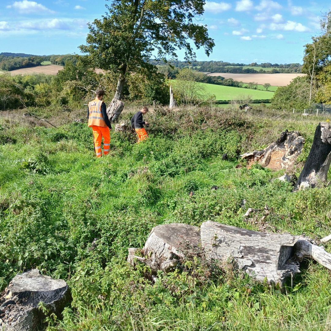 Two workers in bright orange safety trousers and a high-visibility vest inspecting vegetation in a grassy field with tree stumps and logs. The rural landscape features rolling hills, scattered trees, and a blue sky with light clouds.