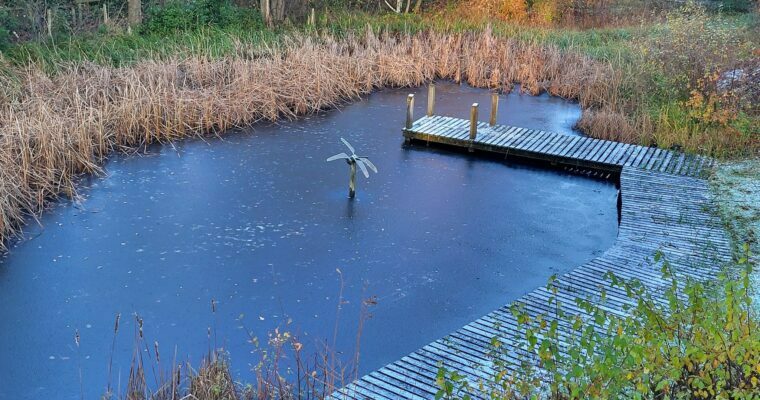 Pond at shorne woods park
