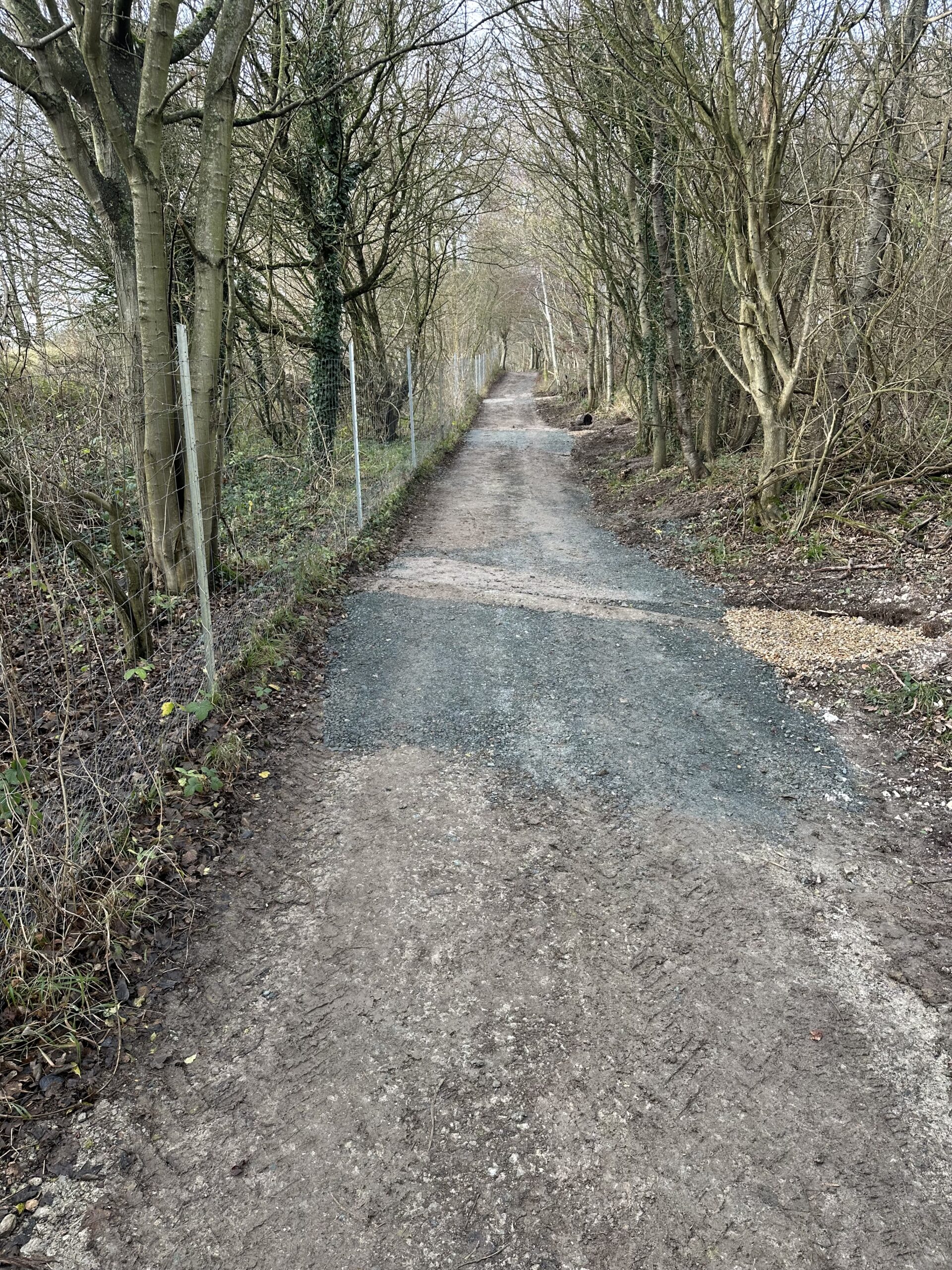A newly resurfaced part of the North Downs Way, the path has been widened and runs through the woods