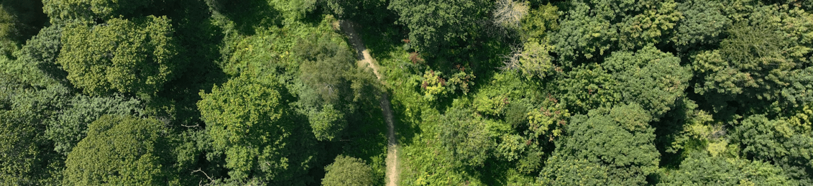 aerial view of a road in the middle of the north kent woods and downs forest