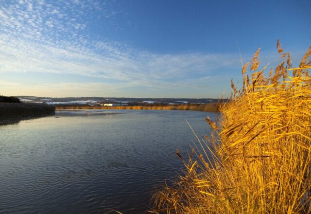 reeds-resevoir-burham