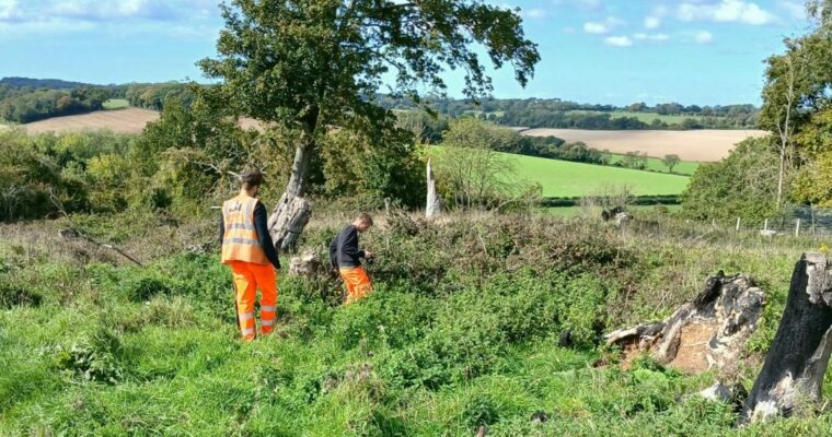 Two workers in bright orange safety trousers and a high-visibility vest inspecting vegetation in a grassy field with tree stumps and logs. The rural landscape features rolling hills, scattered trees, and a blue sky with light clouds.