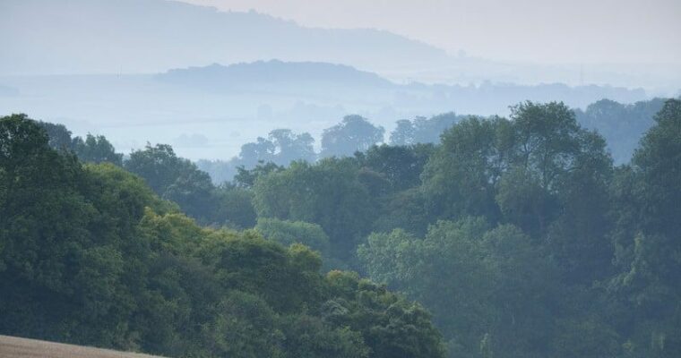 Misty view with trees and woodland in the distance.