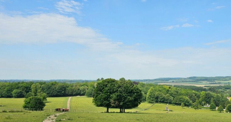 'Stunning' Kent views enhanced by UK Power Networks' investment