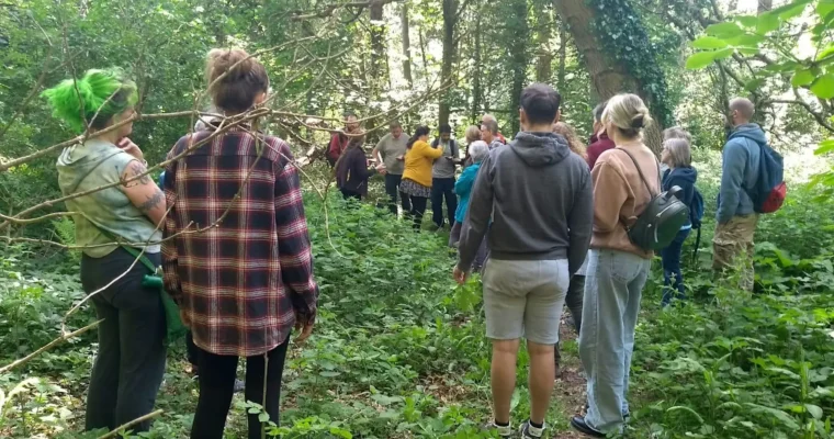 Ashenbank Woodland Mindfulness & Plant Discovery Walk