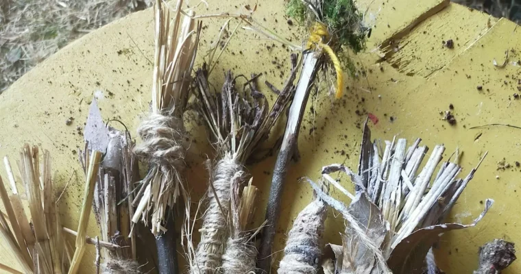 natural toothbrush making at ashenbank wood