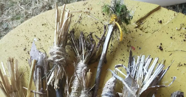 natural toothbrush making at ashenbank wood