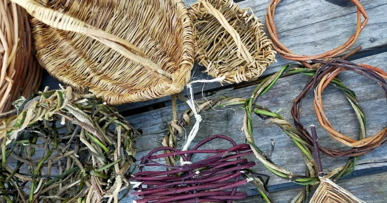 Basket making at ashenbank wood