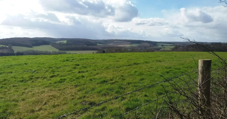 ranscombe farm