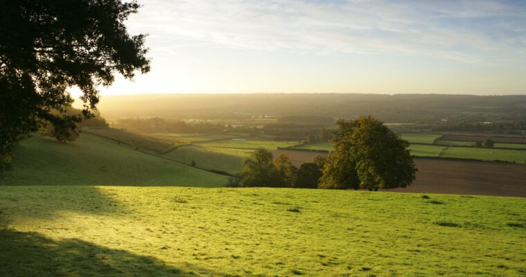 Chevening-sweeping-Landscape-