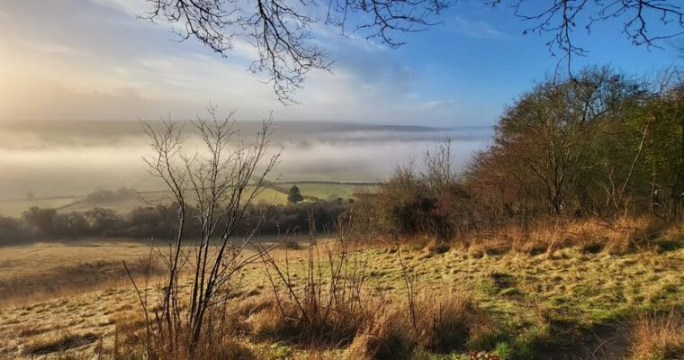 trosley country park