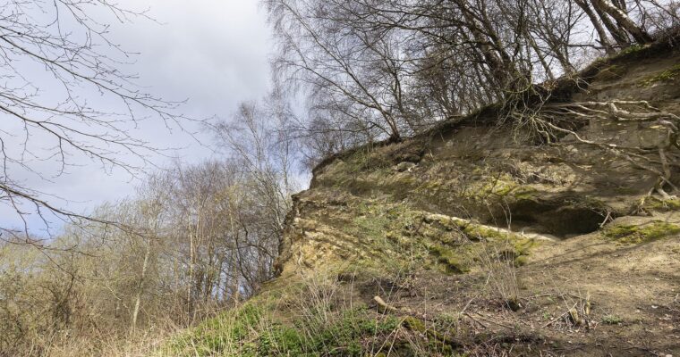 Dry Hill Quarry