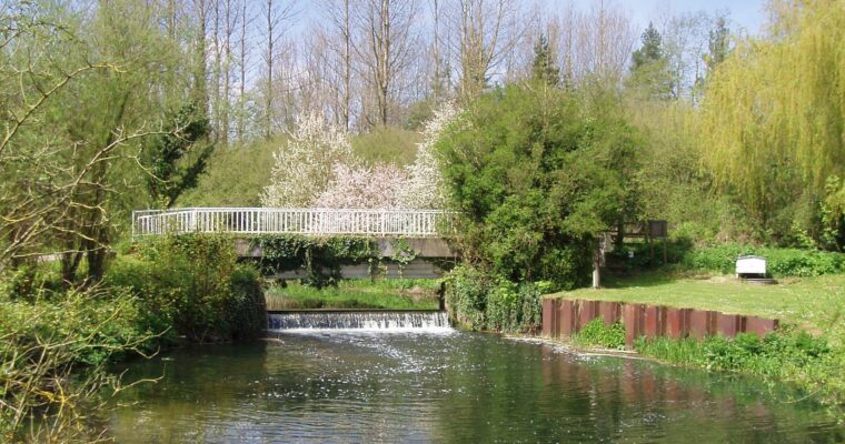 Calm River Stour with trees and bridge in the distance, on a sunny day.