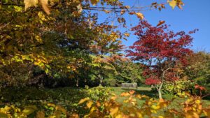 © National Trust Images