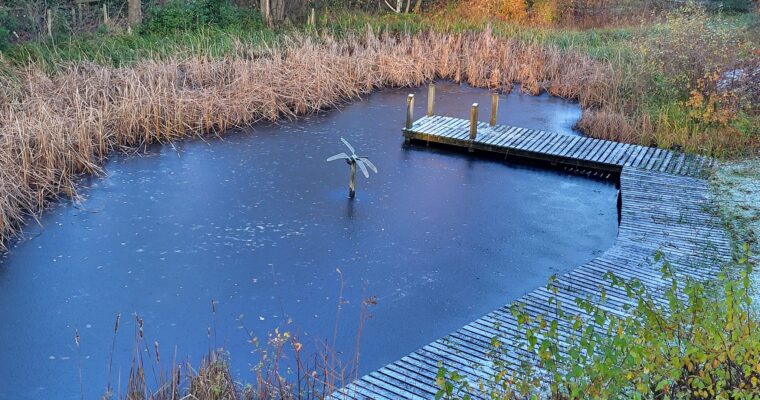 pond at shorne woods country park